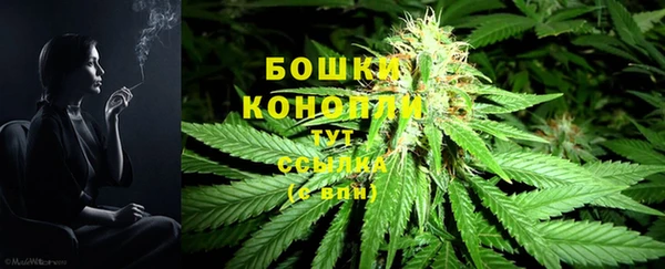 apvp Верхний Тагил